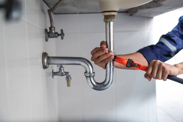 Best Local Plumber Services  in Geneva, AL