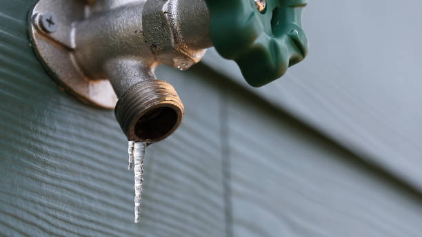 Best Commercial Plumbing Services  in Geneva, AL